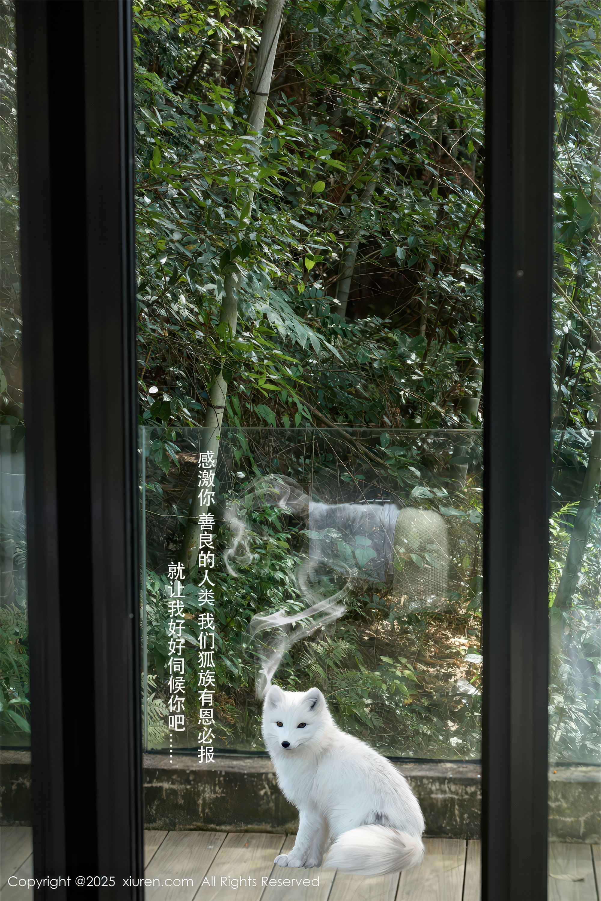 Xiuren秀人网 2025.12.04 NO.11068 尹甜甜